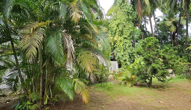 Prabhukrupa Tourist Farm