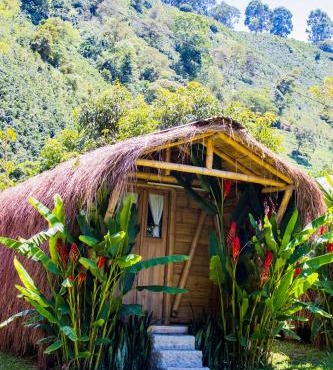 Pradera Ecoliving