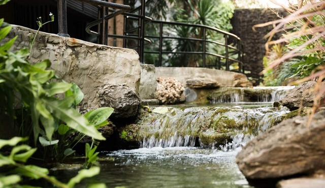 Prelude Hotel