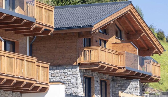 Premium # 1B mit Sauna by Interhome