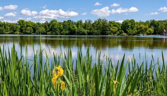 Premium Apartment Directly on Stadtsee with Lake View