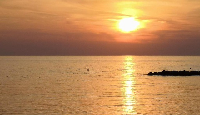Premium Beach Studio WH 13