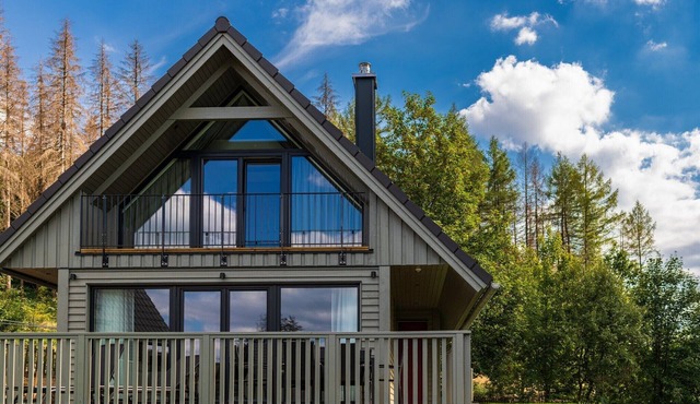 Premium Chalet in Buntenbock