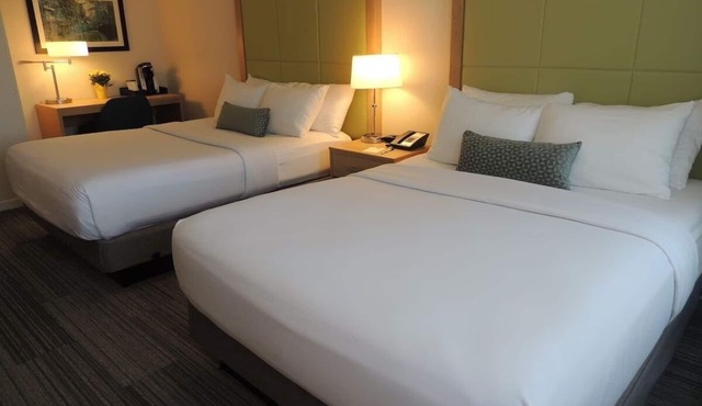 Premium Two Queen Room, Longwood Inn, Dining, Near Medical Schools