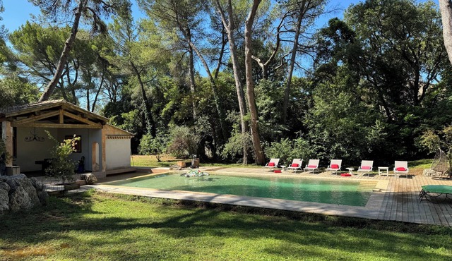 Prestigious Provencal villa - at the foot of the Ventoux mountains