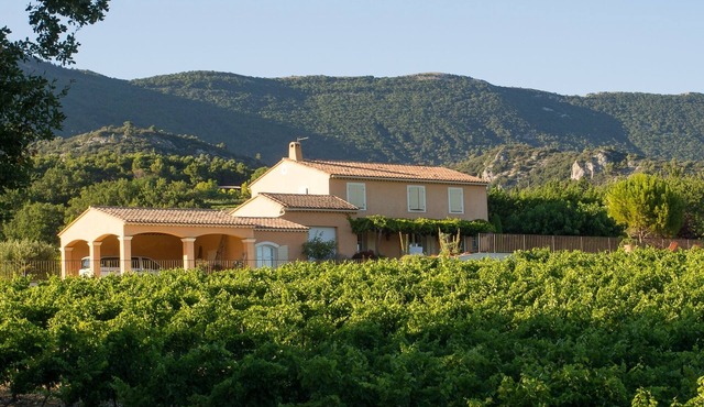 Prestigious South Luberon house in quiet location, air-conditioned with heated pool