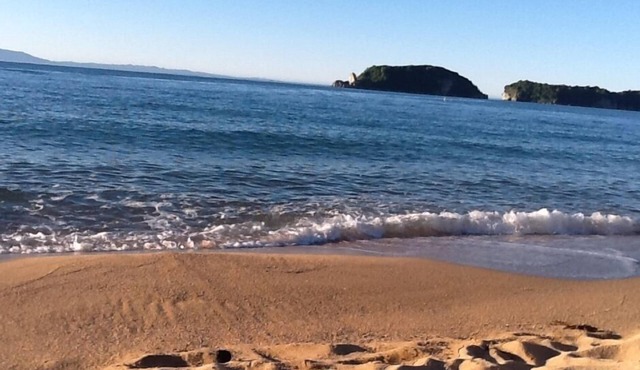 Prime location, modest, fresh and easy clean attractive absolute beach front