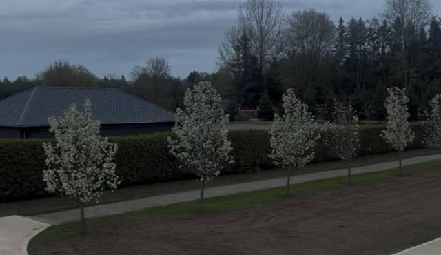 Pristine 10 Acres