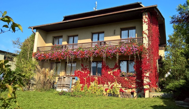 Privat Apartma Ulrych