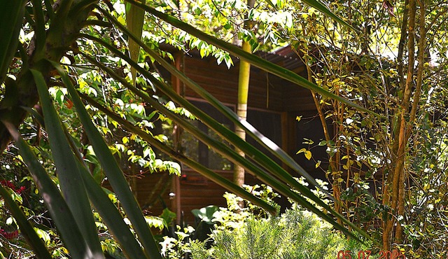 Private 2-Bedroom Jungle Cabin in Tropical Garden, San Ignacio