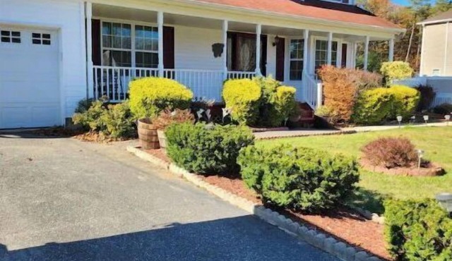 Private 2 bedroom basement w/private entrance