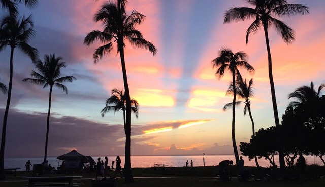 Private 2B cottage, walk to Kahekili bch!