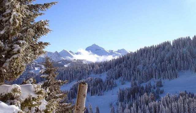 Private 4-Day Getaway with Meals, Manali from Delhi