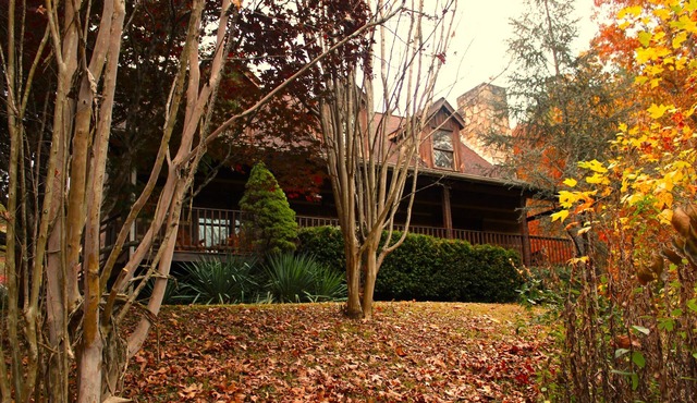 Private and Spacious 2200 sf, 3 king beds cabin, 1.2 acres with large game room