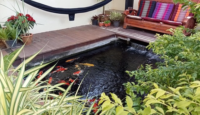 Private Apartment at Co-working Space on Koh Lanta