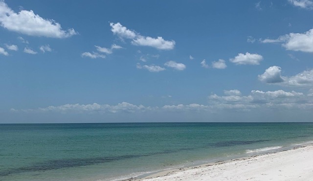 Private Beach Access Condo - Vanderbilt Beach