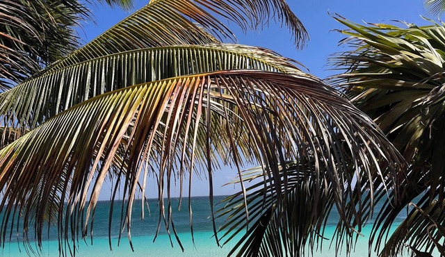 Private beach front eco-chic hotel in the best location of Tulum Beach