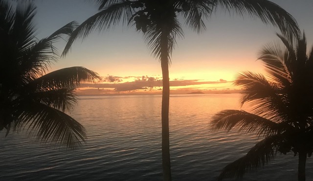 Private beachfront condo with beautiful views of the ocean.