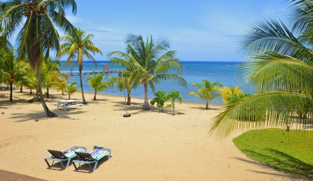 Private, beachfront house with 400' dock 2.5 acres, owners are nextdoor to help