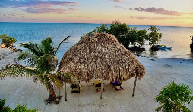 Private Beachfront Villa 6BR Caribbean Beach Palapa Pool/Cook/Pier/Rooftop bar