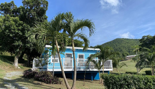PRIVATE Beachview Cottage Steps to Cane Bay Beach