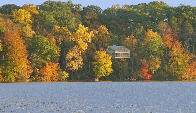 Private beautiful setting, Lyme's best kept secret, Swim, Boat, Fish, Hike