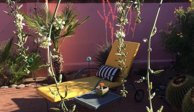 Private bedroom and bath across from the U of A and TMC. Hot tub & BBQ
