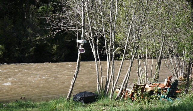 Private Cabin w/ River Views & On-Site Wellness