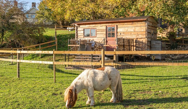Private Cotswold Shepherd’s Hut with Garden & Countryside Views