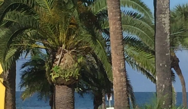 PRIVATE COTTAGE OCEAN VIEW 44 PACES TO BEACH, CLOSE TO RESTAURANTS AND SHOPS