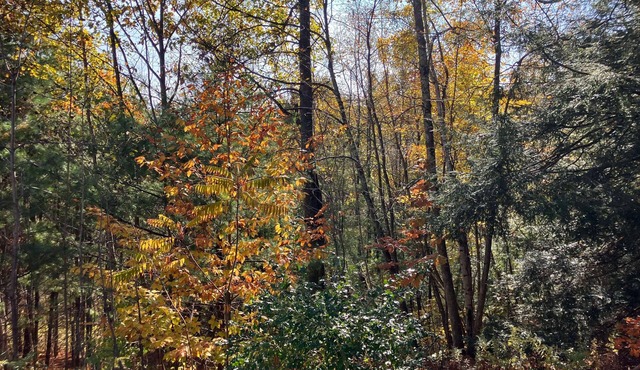 Private country home minutes from the Berkshires