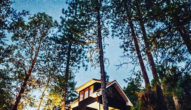 Private Cozy Tree Top Studio