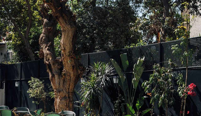 Private fully serviced villa in Maadi, with a private pool, kitchen and garden.