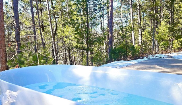 Private Gated Cabin Fireplace Pet Friendly UTV Rout Wheelchair Accessible