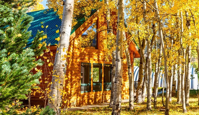 Private Gore Pass Adventure Cabin With Hot Tub