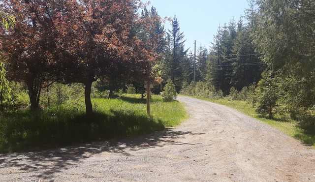 Private Guesthouse on 74 Acres of Forest