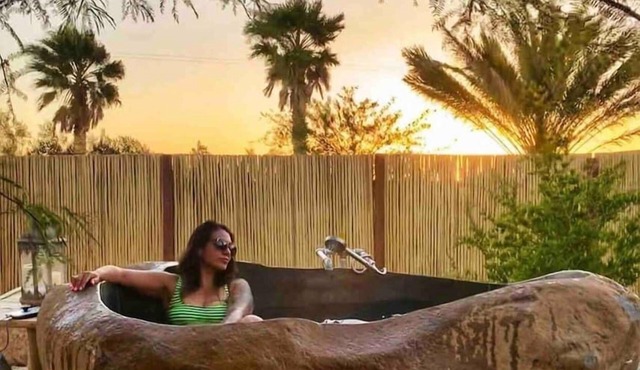 *Private Hot Springs* Ocotillo House