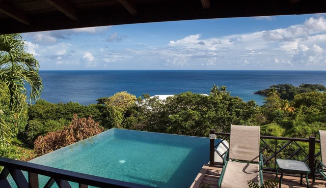 Private Infinity Pool Overlooking the Ocean