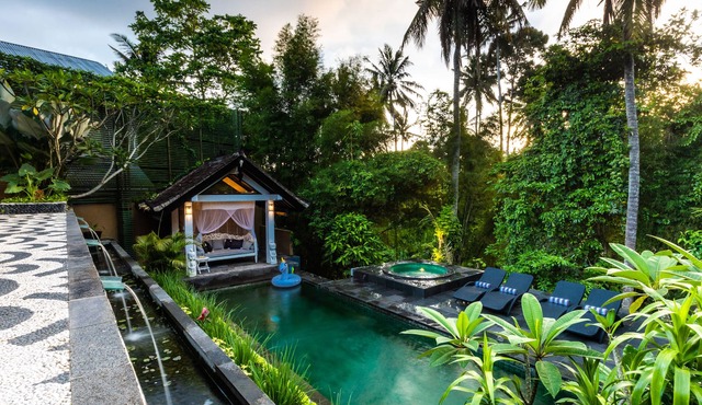 Private Jungle Oasis with a Pool, Sauna, Hot Tub, Cold Plunge
