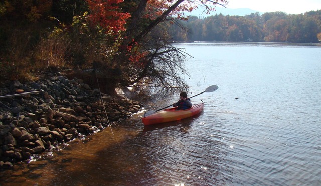 Private Lakefront Sanctuary. Dock, Kayaks, Peaceful Views.