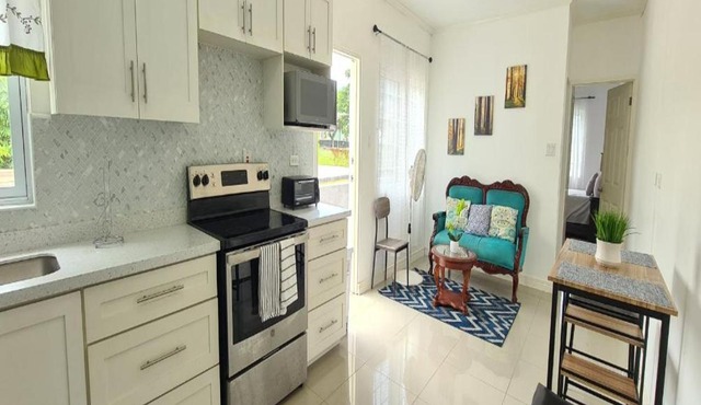 Private Modern Apartment in the Kingston City