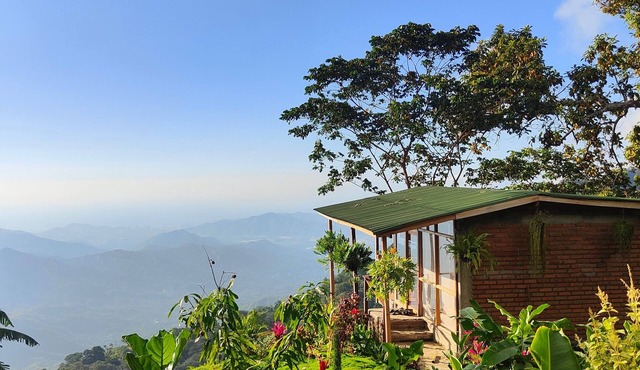 Private ocean view cabin on Minca Sintropia sustainable lodge & coffee finca