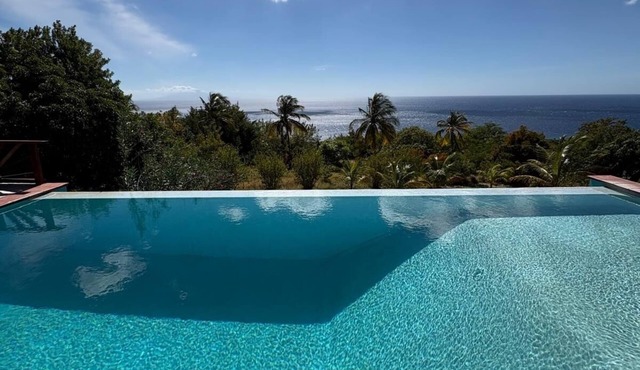 Private ocean view villa. Infinity pool. Air Conditioned bedrooms. Large deck.