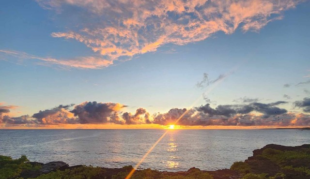Private Oceanfront Retreat ~ Relax to the Sound of Waves ~ Sunrise Views
