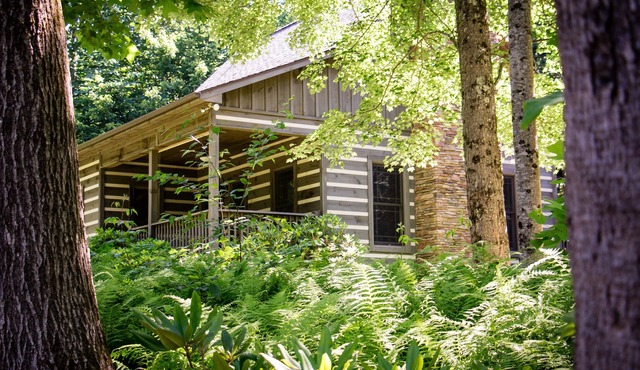 Private, On 53 Acres, Blue Ridge Parkway Access