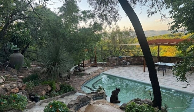 Private & peaceful country cottage bordering the Rhenosterspruit Nature Reserve.