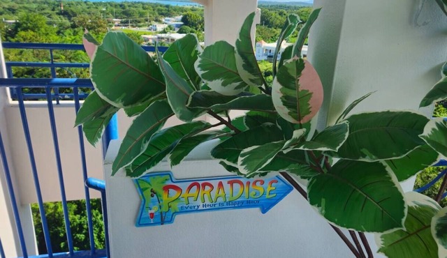 Private Penthouse PR Paradise w/private rooftop terrace!