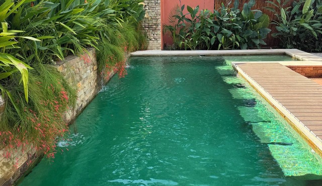 Private pool, beautiful gardens, minutes from beach. 3 bed/3 bath in coco beach.