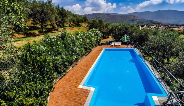 PRIVATE POOL - FARMHOUSE FATTORIA LA PIEVE - Villa LIMONE, 8 Km from Pisa