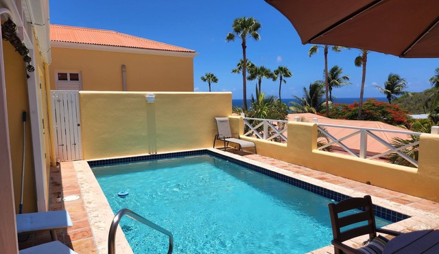 Private pool with a spectacular ocean view!